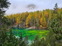 Lac vert en vallée étroite - © S.Morattel