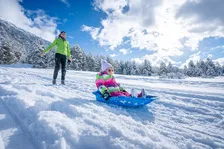 Pista di slittino di Serre_Val-des-Prés - © Alpes photographies