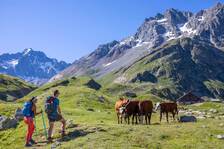 Arrivée au refuge de l'Alpe de Villar d'Arène - © © Parc national des Ecrins - Thibaut Blais