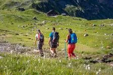 6-day tour between Écrins and Clarée - © © Parc national des Ecrins - Thibaut Blais