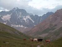 Vue sur les glaciers et les sommets des Ecrins - © CDRP05