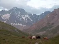 Vue sur les glaciers et les sommets des Ecrins - © CDRP05