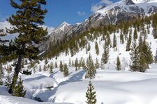 Piste enneigée en direction des Oules - © MDucroux