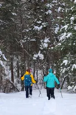 Snowshoeing through the woods - © S.Morattel