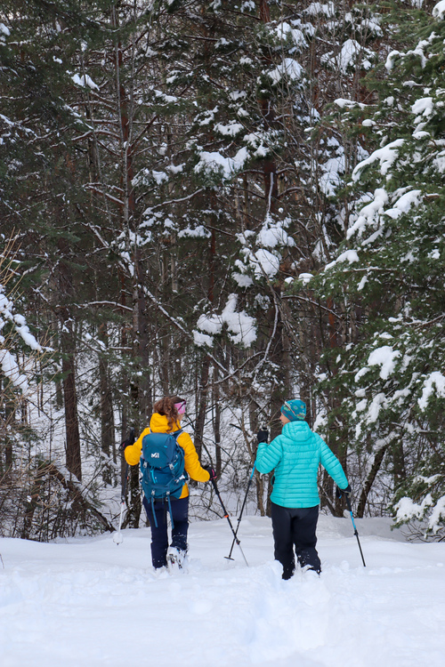 Snowshoeing the Bois du Villar via Lauzin and Clot des Prés
