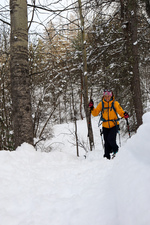 Snowshoeing through the snowy woods of Villard Saint Pancrace - © S.Morattel