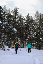 Snowshoeing through the Villard woods - © S.Morattel