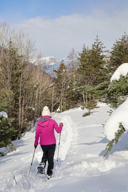 Au fil du canal de Villard-Saint-Pancrace à pieds et en raquettes