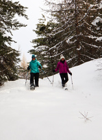 Descente en raquettes - © S.Morattel