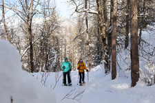 À travers le bois - © S.Morattel