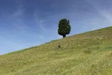 Ascension du col de Chabaud - © M.Ducroux