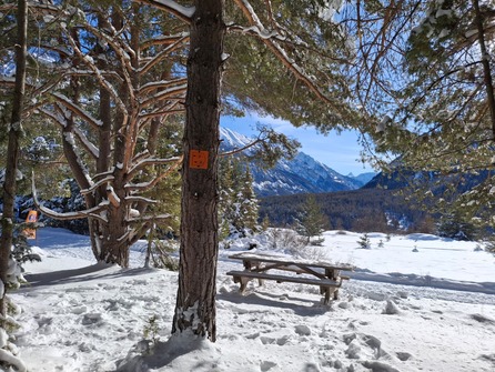 La Combe Saint Martin con le racchette da neve