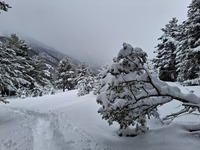 Una giornata nebbiosa e nevosa ad Arras - © G. Monnet