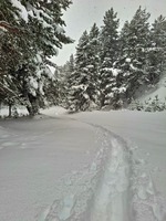 Traccia nella neve - © G. Monnet