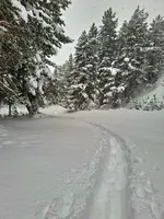 Track in the snow - © G. Monnet