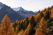 Viewpoint - © L.Chamerlat