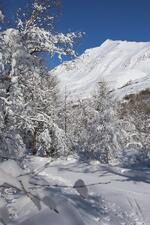 Journée ensoleillée et enneigée à Villar d'Arène - © L.Chamerlat