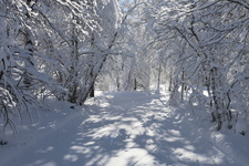 Itinéraire piéton - © L.Chamerlat