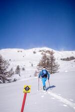 Skieur à la montée en direction des crêtes avec le balisage - © OT Serre Chevalier Briançon