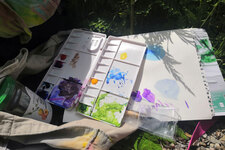 Stage d'aquarelle - © Céline Boudard