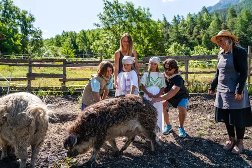 La Petite Ferme des Regains - Educational farm &amp; Alpine traditions