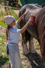 La petite ferme des regains - © Alpes Photographies