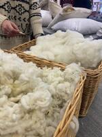 Chazelaine - © M.Molinari