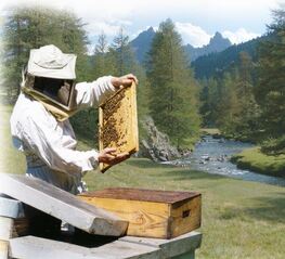 La Miellerie di Névache - © Empreinte Graphique