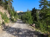 Granon forest trail - © S.Morattel