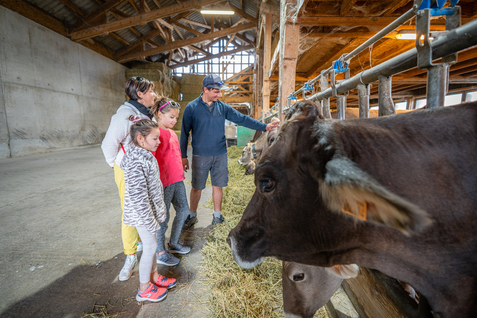 Ferme de Pralong - © Alpes Photographies
