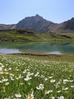 Il grande lago dell'oule in fiore primaverile - © Laury Chamerlat