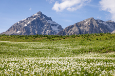 Cime circostanti al Col des Thûres - © Thibaut Blais