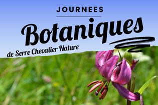 Conférence : balade botanique sur les pentes du Galibier