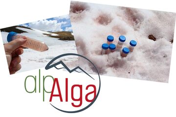 le sang des glaciers...enquête en cours - © jardin du Lautaret