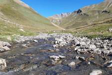 Torrents alpins - © jardin du lautaret