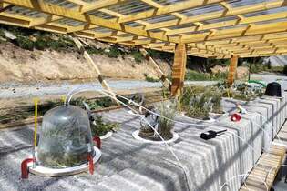 Conférence : Le microbiome des sols alpins