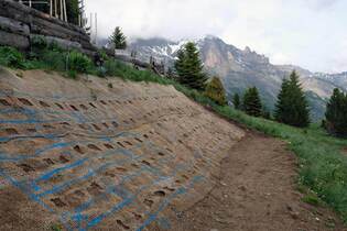Conférence - Restaurer les talus de montagne, semences sauvages ou commerciales ?