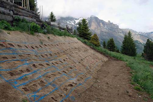 Conférence - Restaurer les talus de montagne, semences sauvages ou commerciales ?