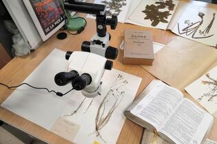 Conférence : Les collections du jardin du Lautaret