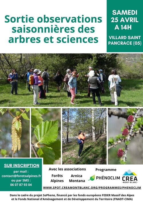 Sortie observations saisonnières des arbres et des sciences