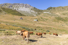 Pic de Baudouis & Col des Ayes - © Thibaut Blais