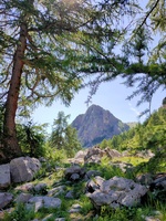 Montée à la Croix d'Aquila - © Laury Chamerlat