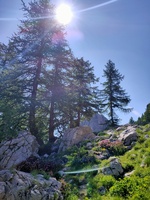 Montée à la Croix d'Aquila - © Laury Chamerlat