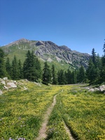 Réserve des Partias - © Laury Chamerlat