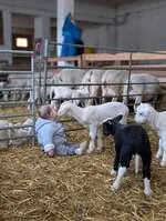 Visites à la ferme pédagogique La Maison des Bêtes à laine_Cervières - © Maison des bêtes à laine