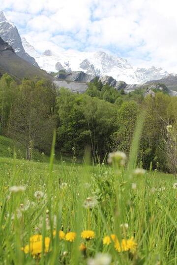 Après-midi botanique au Refuge du Pic du Mas de La Grave_La Grave - © M. Molinari