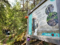 Explanatory panels all along the miners' trail help you to retrace and understand the mining activity of the time. - © Laury Chamerlat
