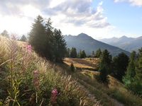 Vue depuis le hameau du Mélézin - © Laury Chamerlat