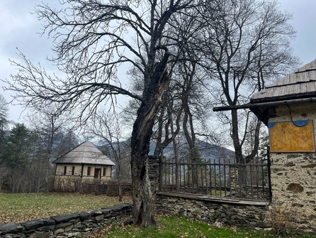 EldoradoRando - The Lauzin clearing