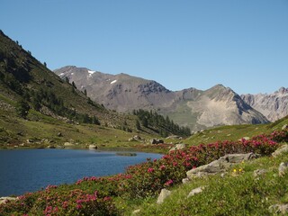 Lac de l'Oule, Névache vallée de la Clarée - © Agnès Baudoux